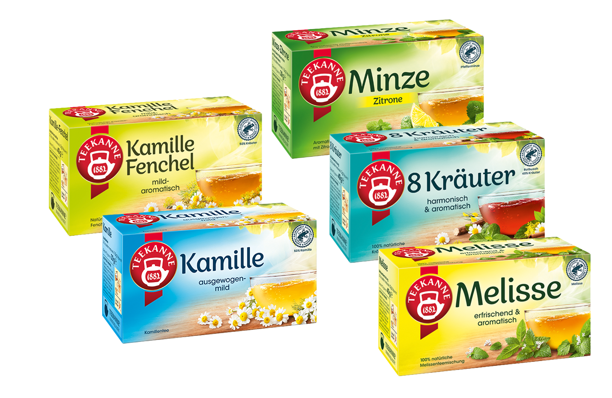 Teekanne Natur-Kräuter-Früchte Tee Sortimentskarton (36 Pack)