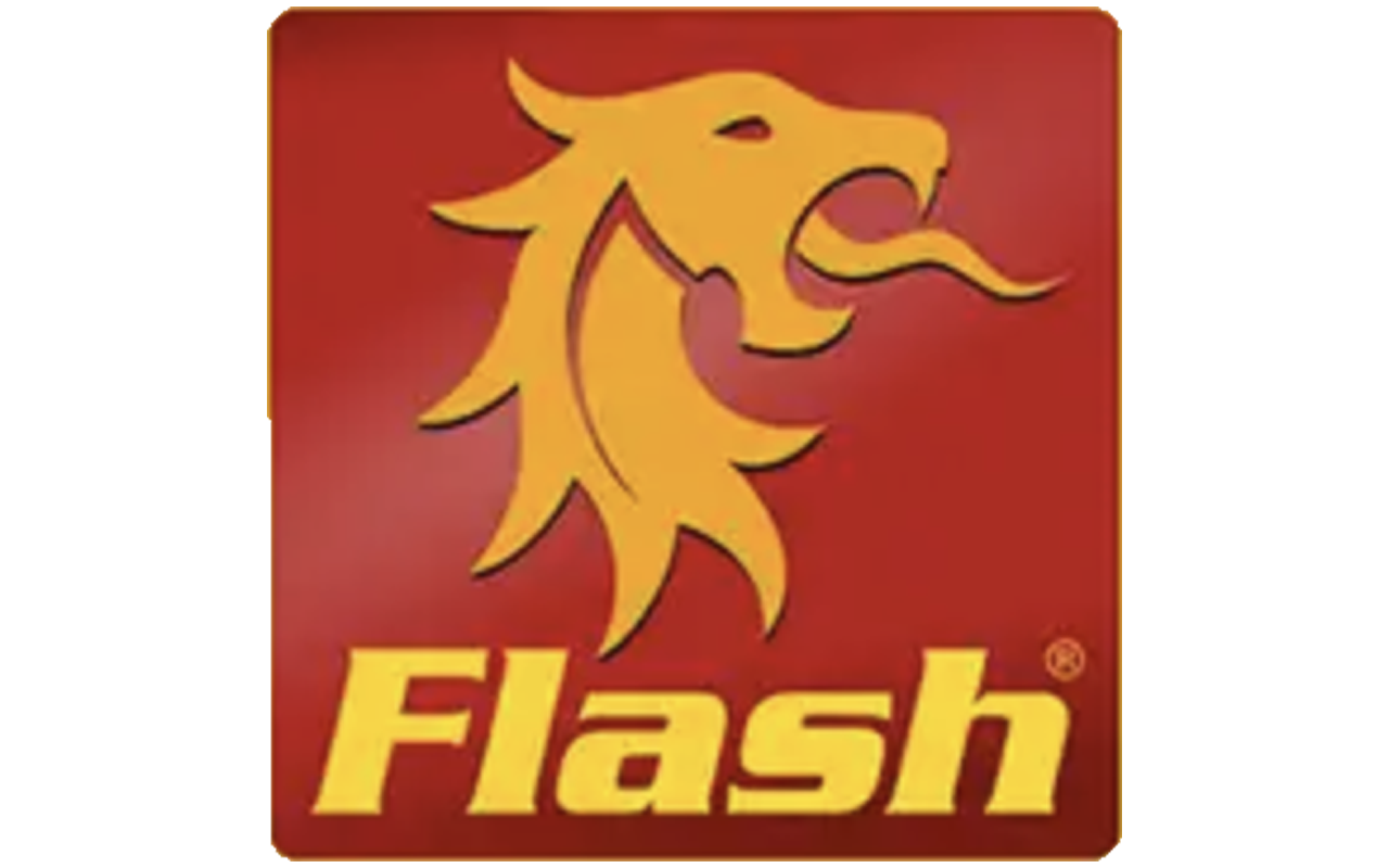 Flash